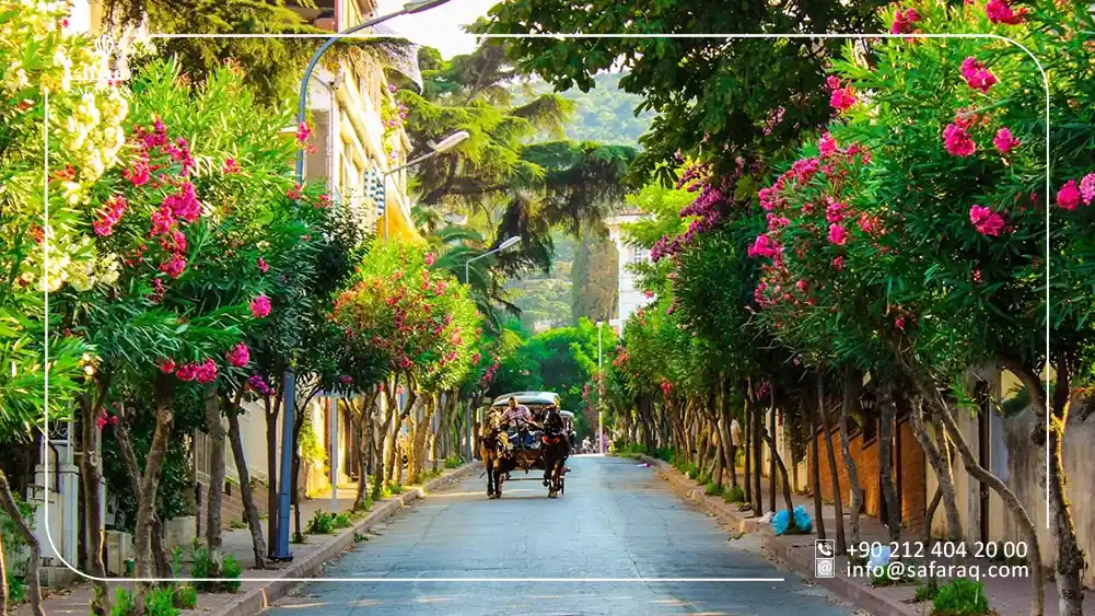 A carriage in The princes Islands