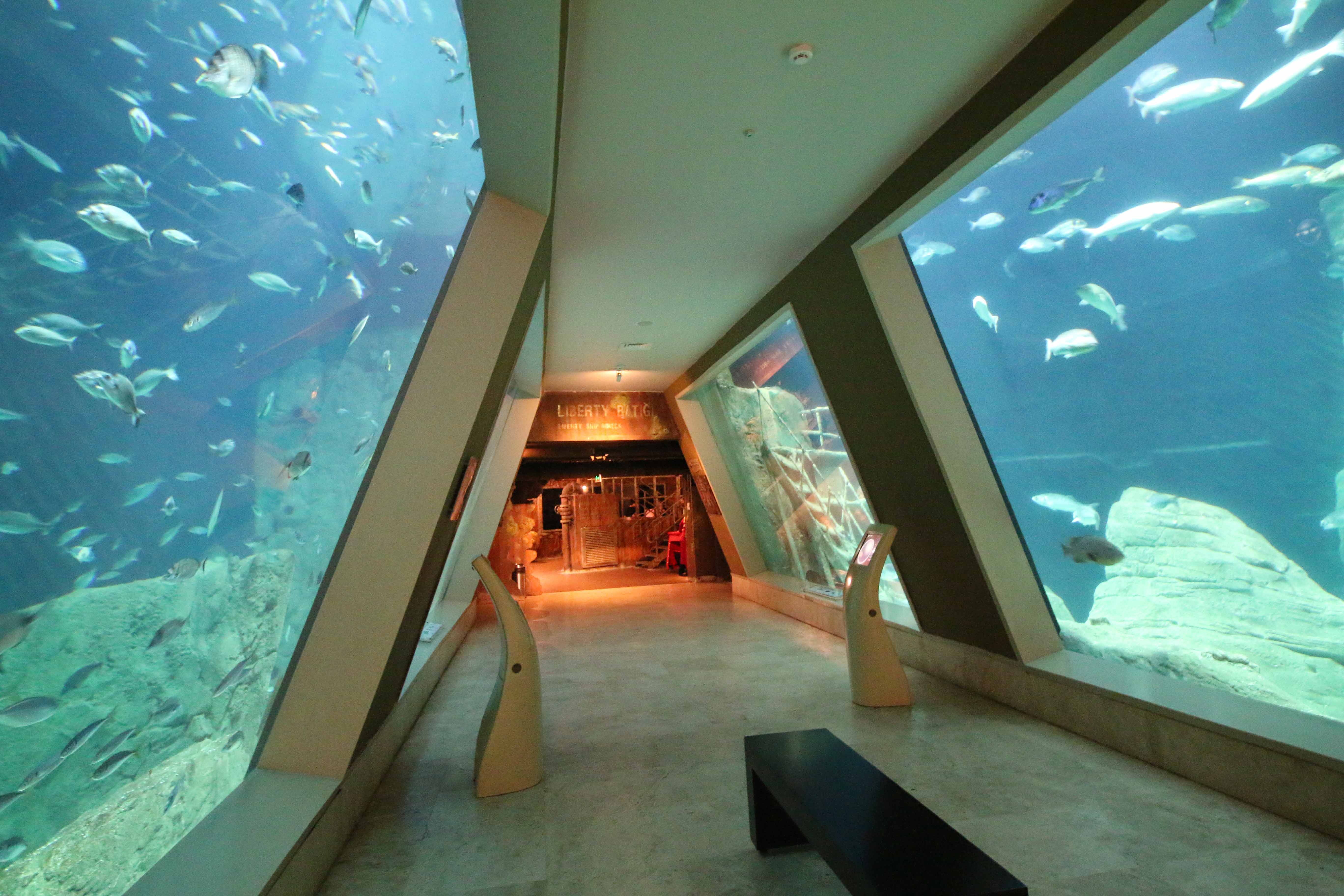 Istanbul Aquarium– Florya