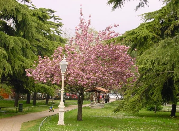 park of istanbul yorum