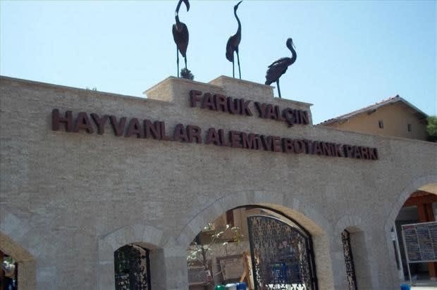Istanbul Zoo – Faruk Yalcin Zoo