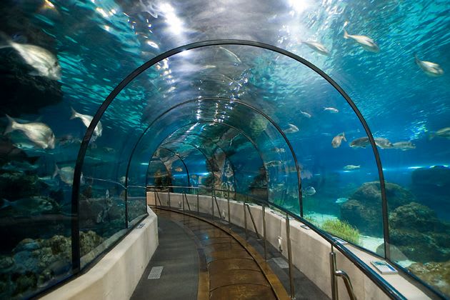 Istanbul Aquarium – Florya Aquarium