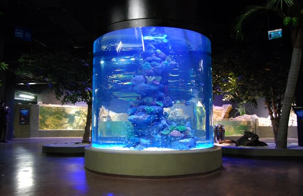 Turkuazoo Aquarium