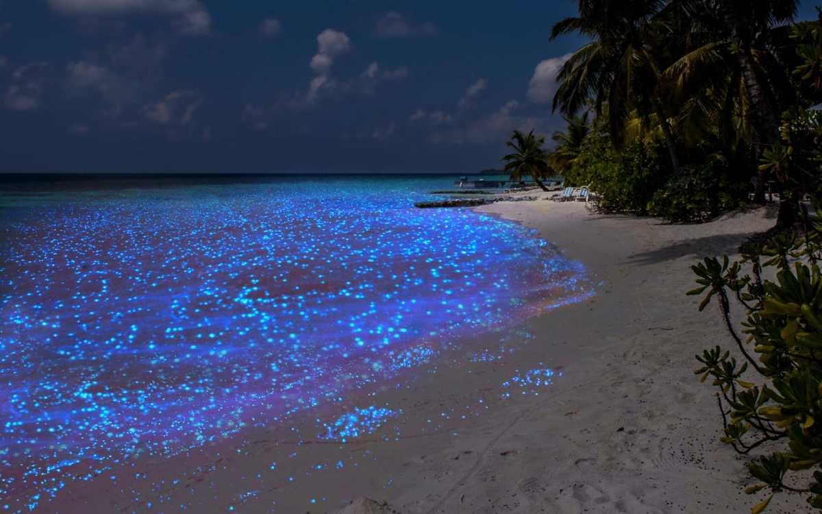 Recreation on the Maldives' Luminous Beaches