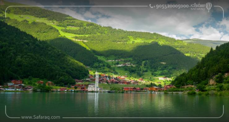 Green mountains of Trabzon