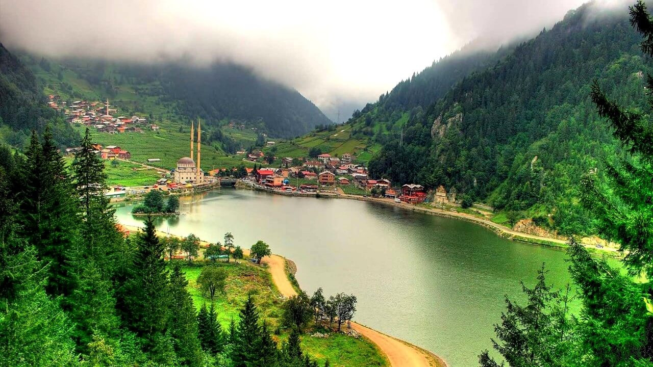 برنامج سويسرا تركيا